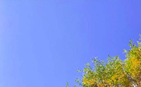 实用的优美的早安问候语语录锦集49句