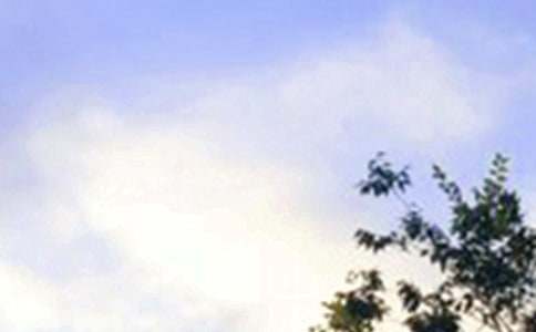 2020年简短的温暖的早安问候语语录汇总71句