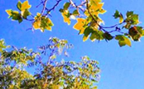 【必备】2024年美好的早安微信祝福语19条