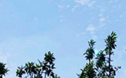 【精华】2022年美好的早安问候语语录合集36句