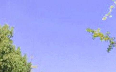 2022年治愈系早安问候语语录集合63条