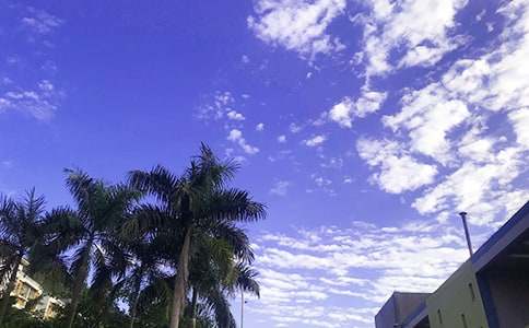 2022年通用每日一签早安问候语语录28句