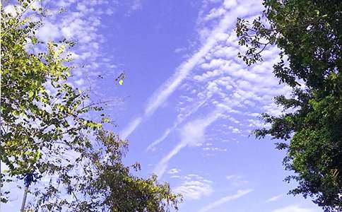 【推荐】2021年动人的早安问候语语录41条