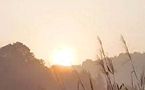 【推荐】2022年早安问候语语录集合49句