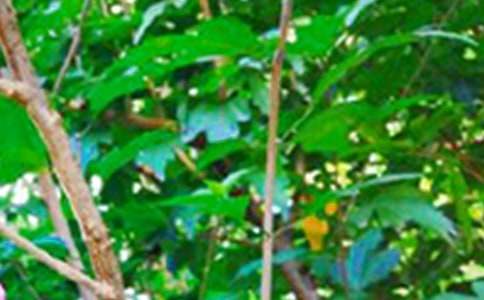 【实用】温暖的早安问候语语录33条