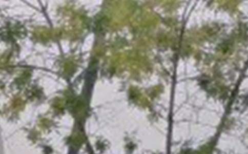 实用的适合给朋友的早安QQ问候语集锦59条