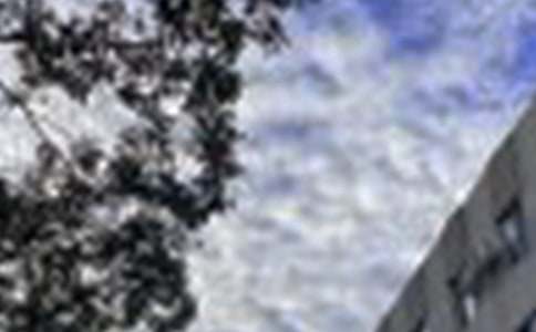 简单的新版早安问候语语录集合50句