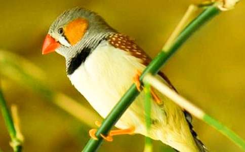 �������񡷵ڶ���ʱ��ѧ���8ƪ