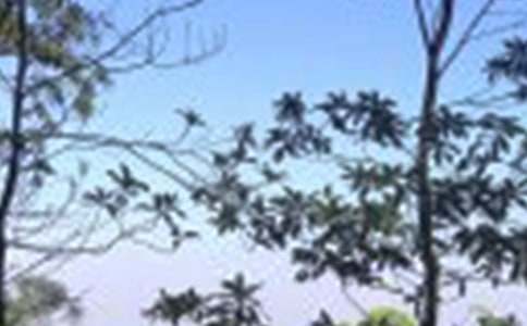 ������ʺ���