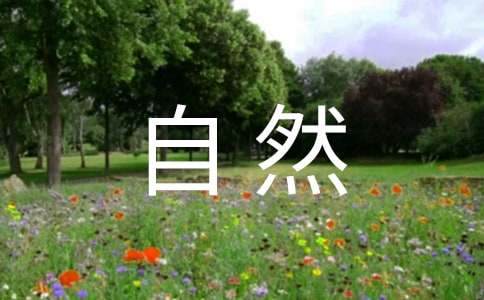 保护大自然爱护山水树木建议书