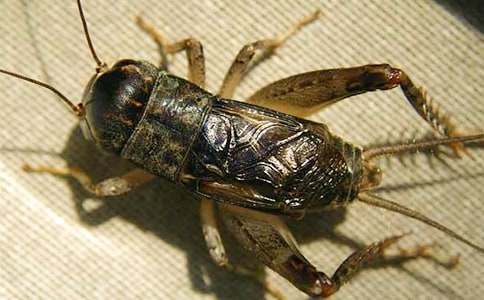 �����סլ����ѧ��˼������