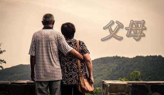 对父母的感谢信范文