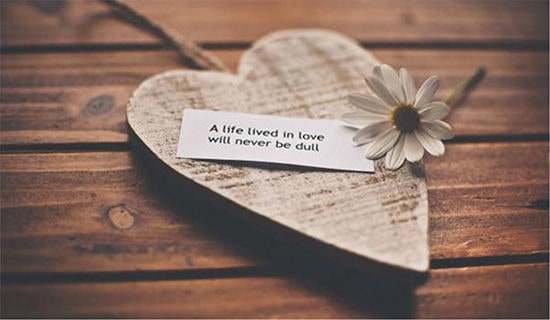 ���鱣֤����ôд