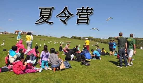 Сѧ���������Ӫ�����(��)