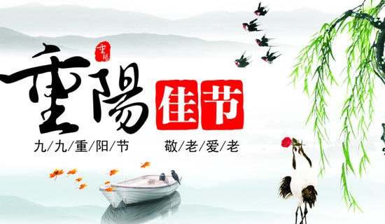 幼儿园中班重阳节活动方案精选13篇