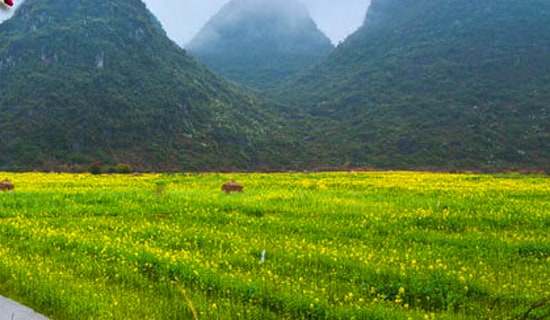 �׶����λ�ƻ�(����15ƪ)